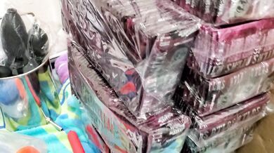 Our toy collection. Comment suggestions for what toys and how you want them used in our next video