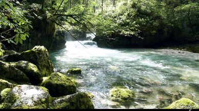 Sensual Symphony: 4K Nature Escapes