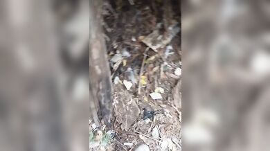 I jerk off in public place. Masturbate in the public park