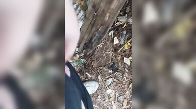 I jerk off in public place. Masturbate in the public park