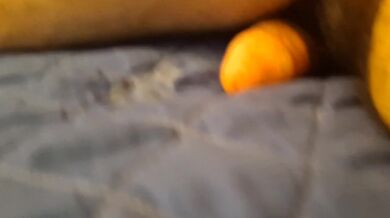 I am rubbing my dick in the bed