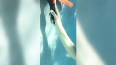 Sequins and stockings, underwater handstands, shiny tights, realise swimsuit in public, compilation