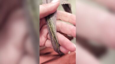 Squirt in a shop sweet ass milf tight pussy