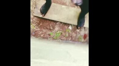 Jerking off Hard while Watching Porn