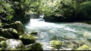 Sensual Symphony: 4K Nature Escapes (Rae Lil Black)