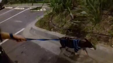 Strolling in the mall alone in the dark