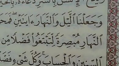 Reading Quran Muslim girl hijab