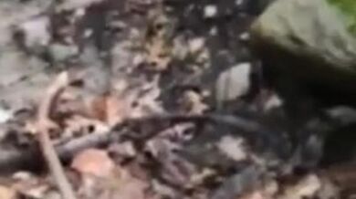 Malibog na Pinay Nagpakantot sa Tabing Ilog