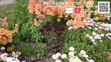 素人巨乳女子大生とのセックス 主観フェラと生中出し 痙攣 日本人カップル 主観 美乳スタイル抜群の美女 ハメ撮り 個人撮影 手コキ 無修正 まろちゃんねる