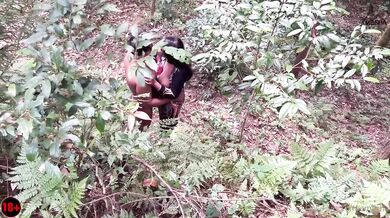 (Amesha) Jungle Vasna