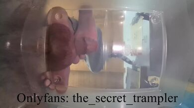 Cock and balls puncaked under glass 2 (preview, full video on Onlyfans) cock and ball trampling