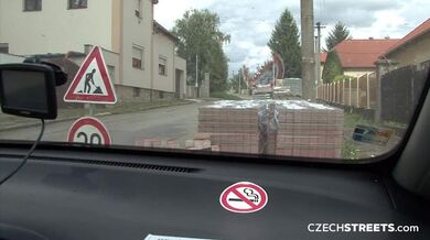 The Cab Driving Bitch