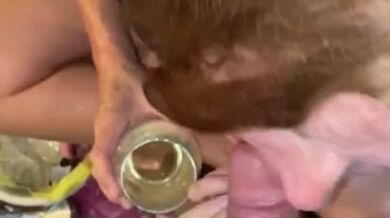 Cock with wine - yum!!!