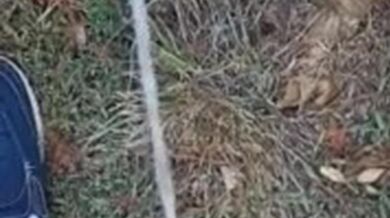 Backyard pissing full video