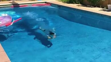 Pool time by iamnotyoursub from OnlyFans | Coomer