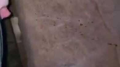 MASSIVE CUMSHOT FOR HER