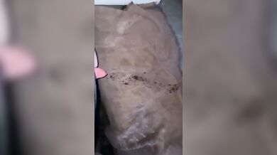 MASSIVE CUMSHOT FOR HER