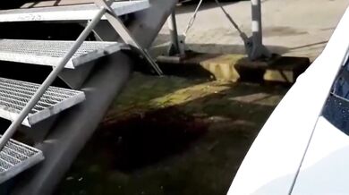 MEGA Public ..Sie bläst meinen Schwanz so Öffentlich wie...