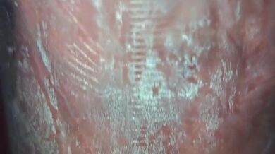 Pomp it up, I wanna pomp it up!!!