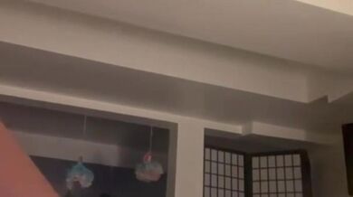 Rose Toy Making Ebony Pussy Cream& Scream