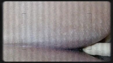 HAPPY HALLOWEEN 2024