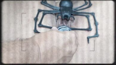 HAPPY HALLOWEEN 2024