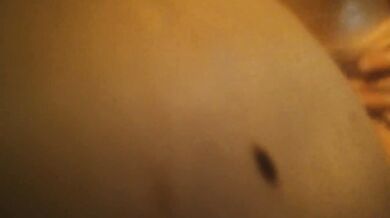 Watch me finger fuck her while giving her ass my cock in POV