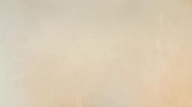 Rough Anal Sex for a lovely japanese