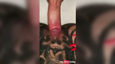 Mydirtyhobby - Hot Girlfriend fucked by A Stranger