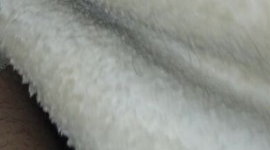 Debaixo do cobertor no frio e vibrador pra deixa a piroca de boa