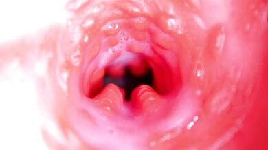 Extreme close up of a big cock in a sloppy wet sweet hole!