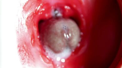 Big orgasm inside the anus! Fantastic moaning orgasm and a lot of sperm!