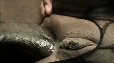 Black chubby babe in fishnet stocking anal doggy by Euro BBC old bf