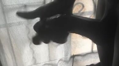 ALMOST SEEN BY A NEIGHBOR WHILE JERKING BY THE WINDOW