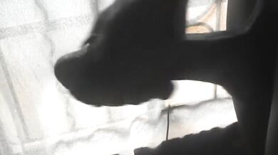 ALMOST SEEN BY A NEIGHBOR WHILE JERKING BY THE WINDOW