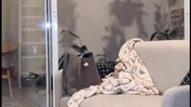 YANG LAGI VIRAL 14 NOVEMBER 2025 FULL DI Https://s.id/eporner1