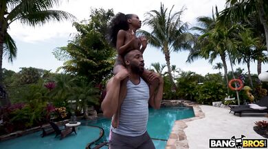 4K Collection 9 - Mini Stallion