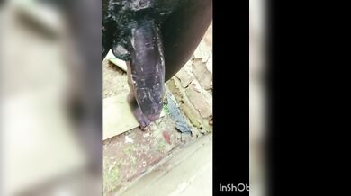 Longest biggest African black Mandingo DICK creamed and stroke for multiple CUMSHOTS