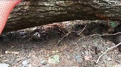 Sandra Falkenhauer Outdoor Fingering - Amateur MILF Masturbating Orgasm in Woods