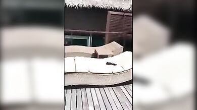 Mega hot german slutceljngh5