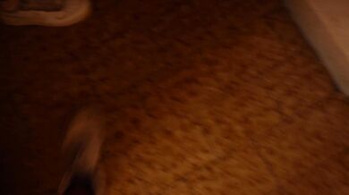 (DIA ITA) INCULO una BORSEGGIATRICE della METRO di MILANO che mi ha preso il telefono