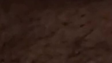 Piroca moreno internacional futebol um compilado