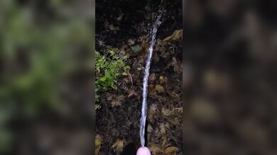Pissing In The Leaves 《4K》
