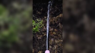 Pissing In The Leaves 《4K》