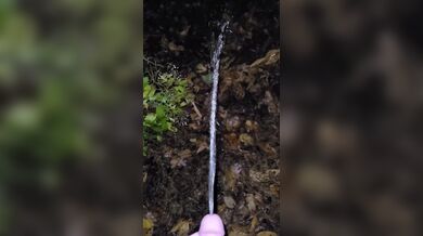 Pissing In The Leaves 《4K》
