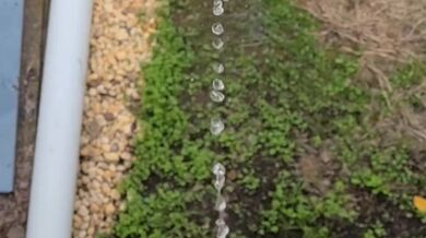 Pissing Off The Deck