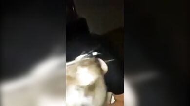 Gf Swallows Every Time