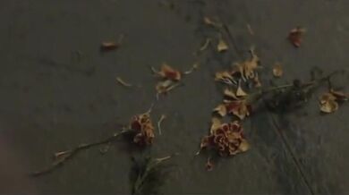 Amwf Irina Griga Russian Female Lee Ye Rin Korean Female E Cup Big Natural Tits Blonde Hot Model Hotel Resort Sex Korean Male