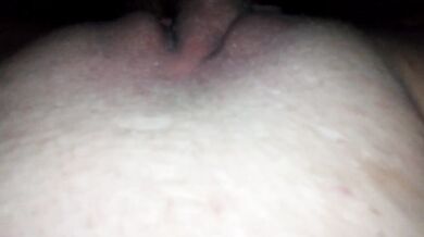 Naughty little squirting kitten