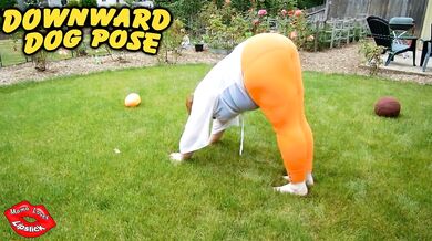 funny fat ass workout